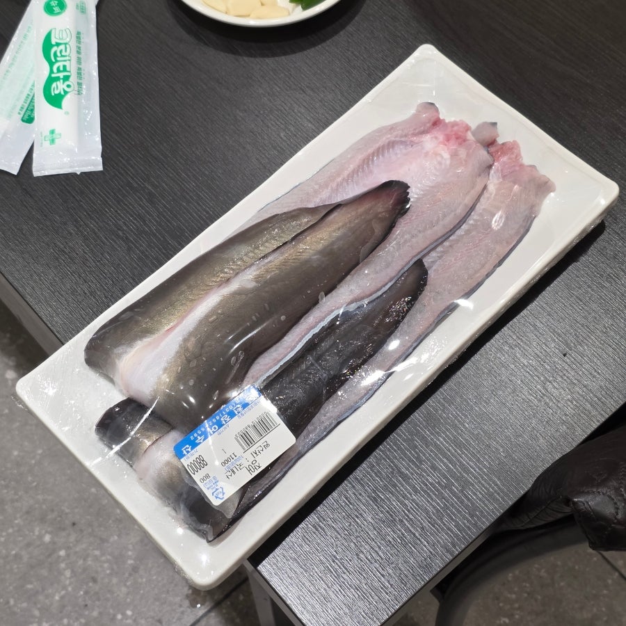장어나들이 사진 4