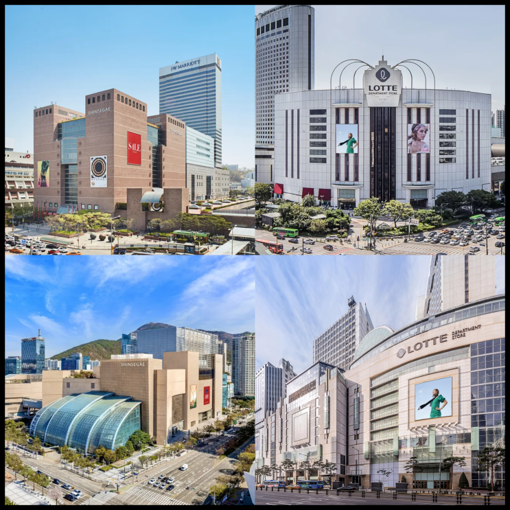  2025년 전국 백화점 매출 순위