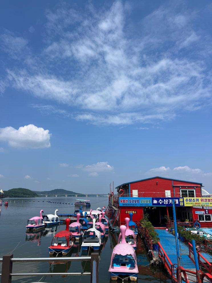  [평택 아이와 가볼만한곳] 평택호 관광단지 : 연휴 맞이 친구와 함께 떠난 평택호 오리배 & 예술공원 나들이!