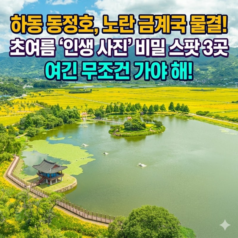 노란 금계국 물결로 물든 하동 동정호, 초여름 인생 사진 건지는 비밀 스팟 3곳