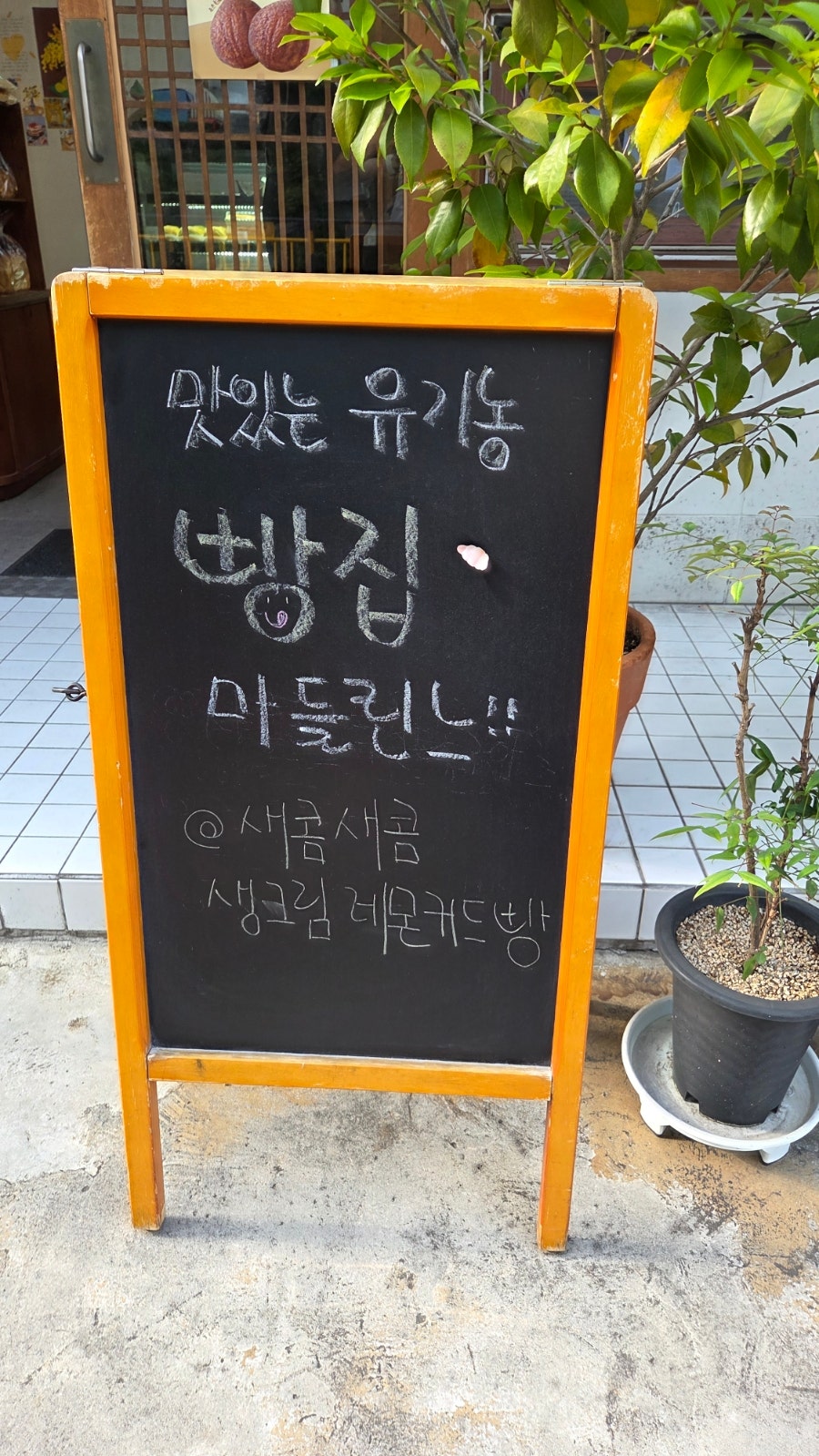 마들린느 사진 2
