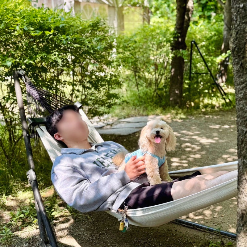 일산 파주 애견카페 힐링그라운드 실내 야외 강아지운동장 산책 장소 추천