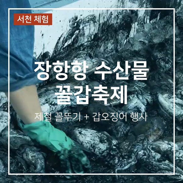 장항항 수산물 꼴갑축제 기본정보 및 서천 먹거리 공연 일정
