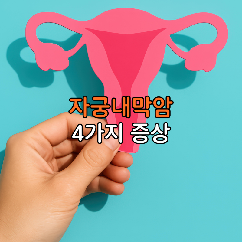 에스트로겐 폭주가 자궁벽을 두껍게 변성시키는 자궁내막암 증상 4가지 전조