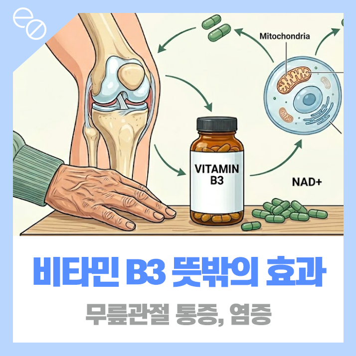 무릎 관절 통증과 관절염에 비타민B3 먹는 이유