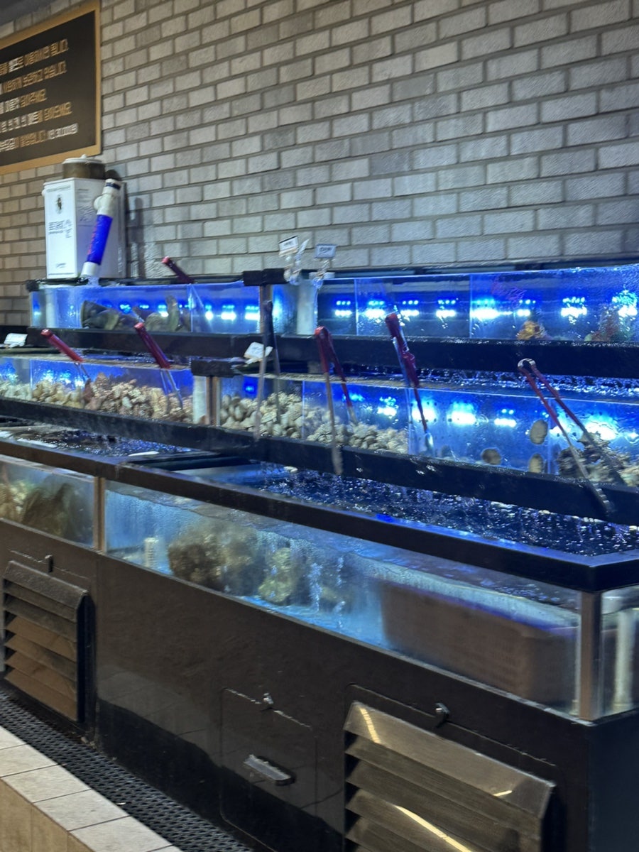 고기품은조개 사진 4