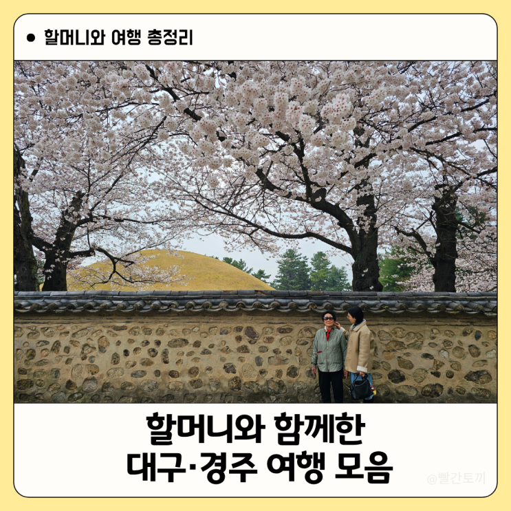  할머니와 함께 다녀온 대구·경주 근교 여행 총정리｜가족외식·카페·관광지 모음