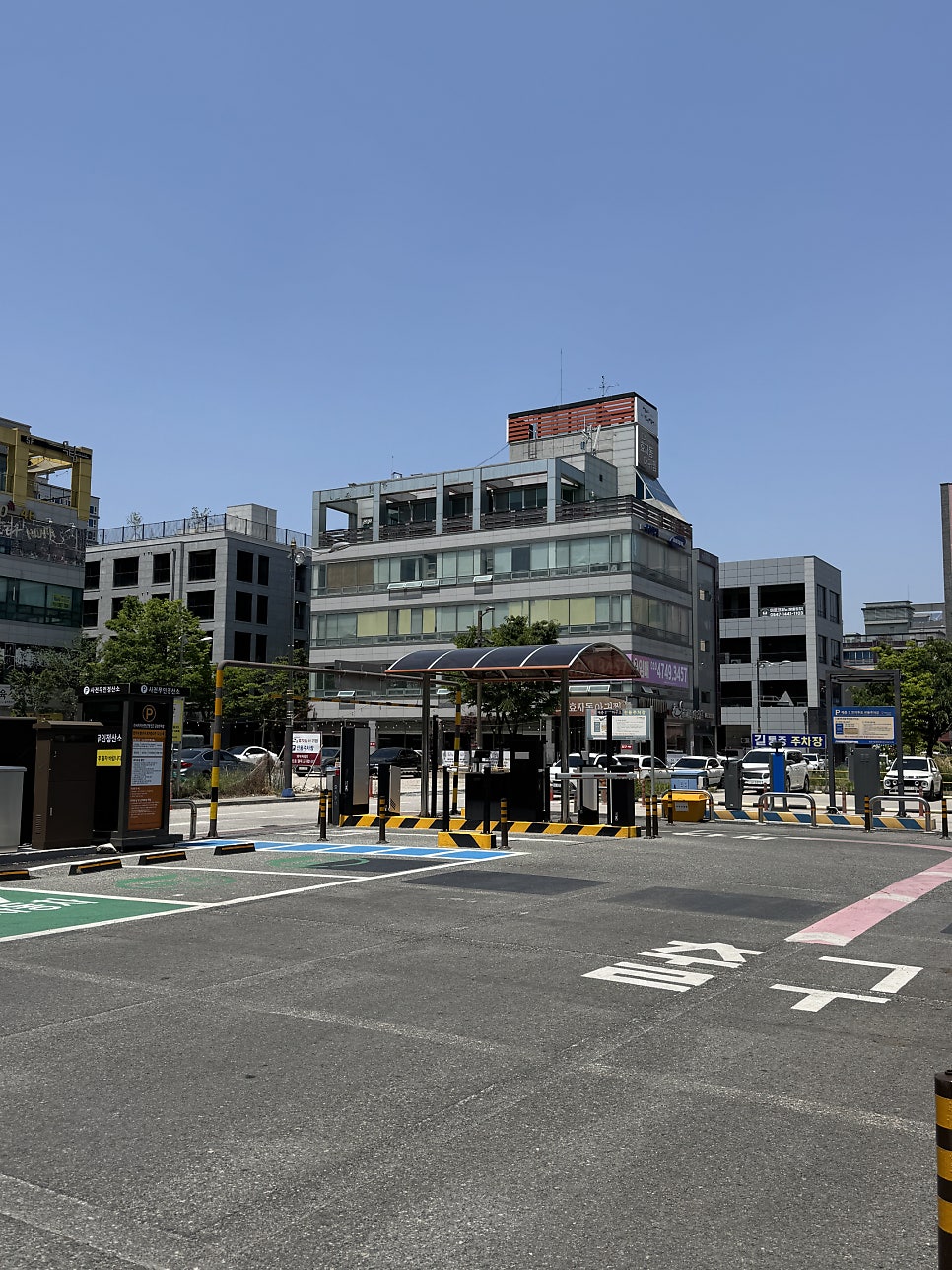 고향시래기 사진 4