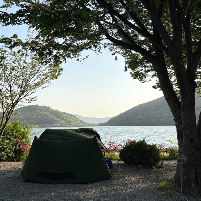 Recommended Gongju Campsite | Forest Reservoir View, Pet-Friendly Gyeryongsan Four Seasons Campsite in Gongju