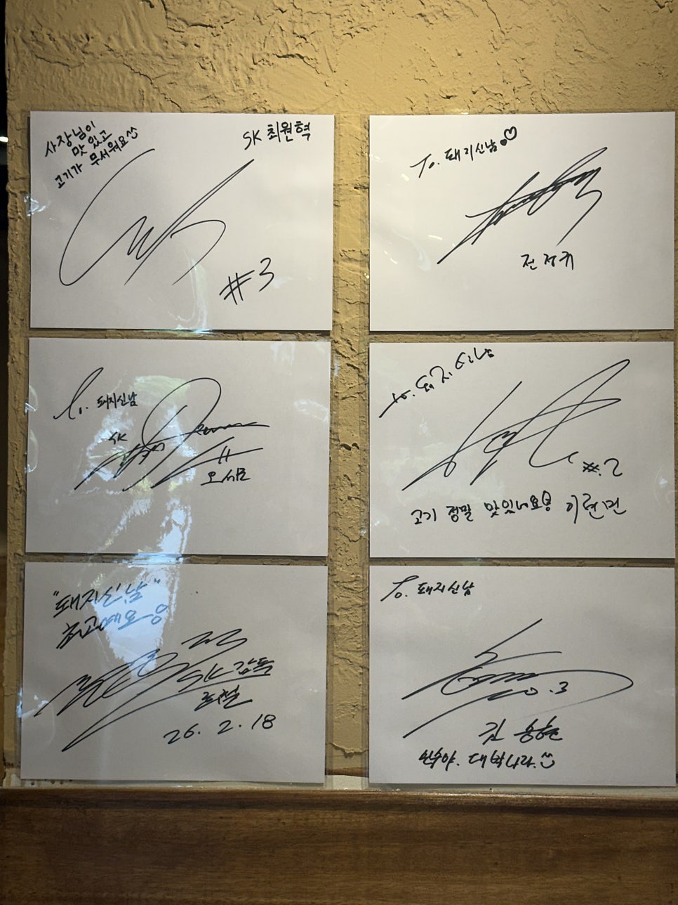 돼지신남 사진 6
