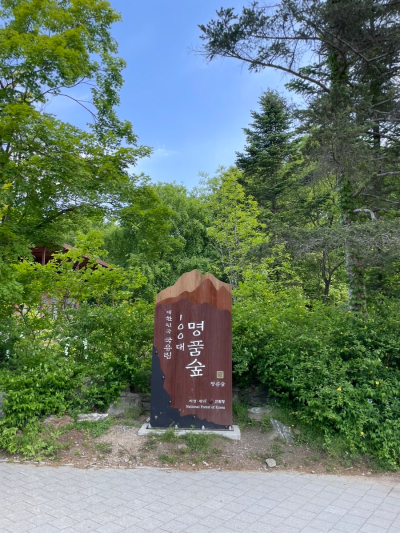 포천 광릉 국립수목원 주차 예약 방법, 주말 방문 후기