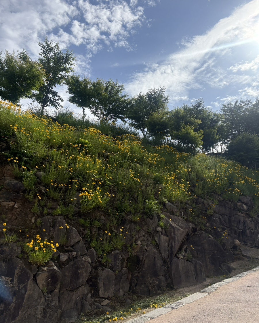 삼거리식당 사진 5