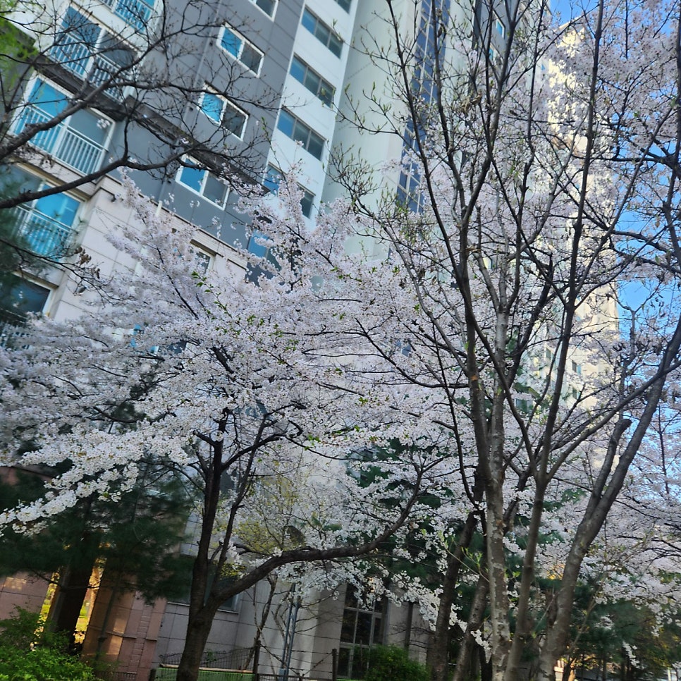 천일문 사진 2