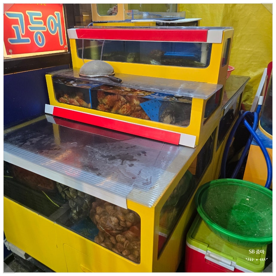 죽도수산 사진 3