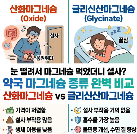 약국 마그네슘 종류 완벽 정리: 산화마그네슘 vs 글리신산마그네슘 흡수율 비교