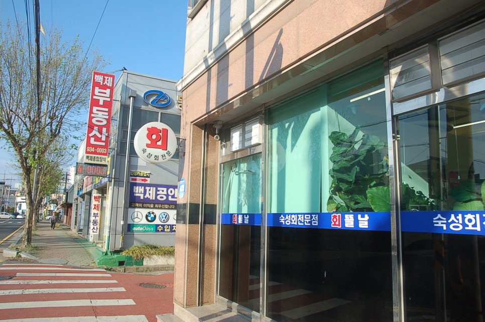 회뜰날 사진 2