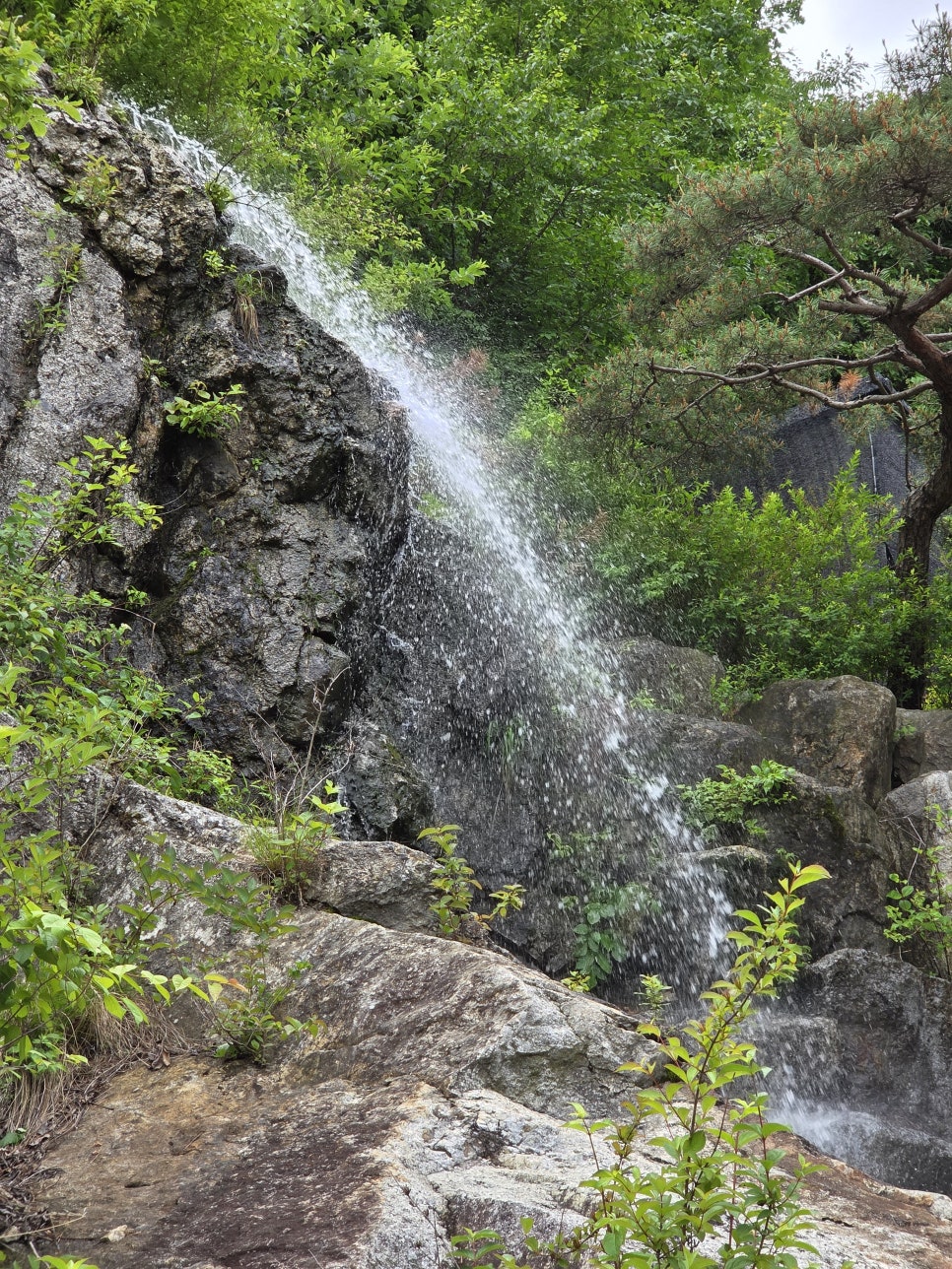 국보디자인 사진 2