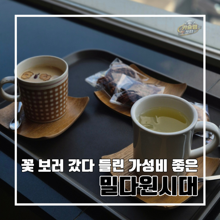  부산 민주공원 겹벚꽃 명소 인근 실버 바리스타 카페 밀다원시대 l 주차 내돈내산