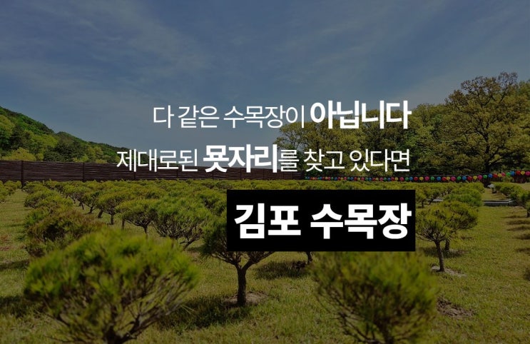  묫자리 다운 김포 수목장, 다 같은 자연장지가 아니에요.
