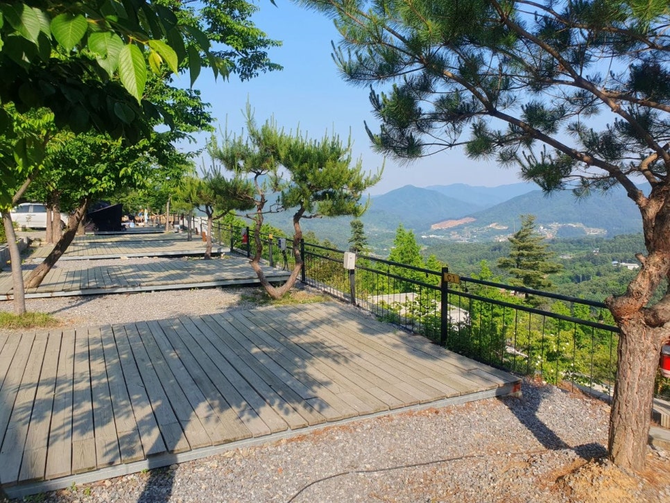 디벨리 사진 5