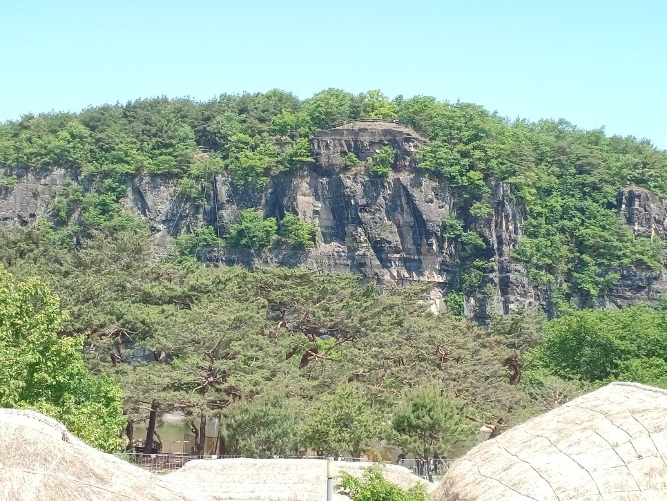 해골 사진 3
