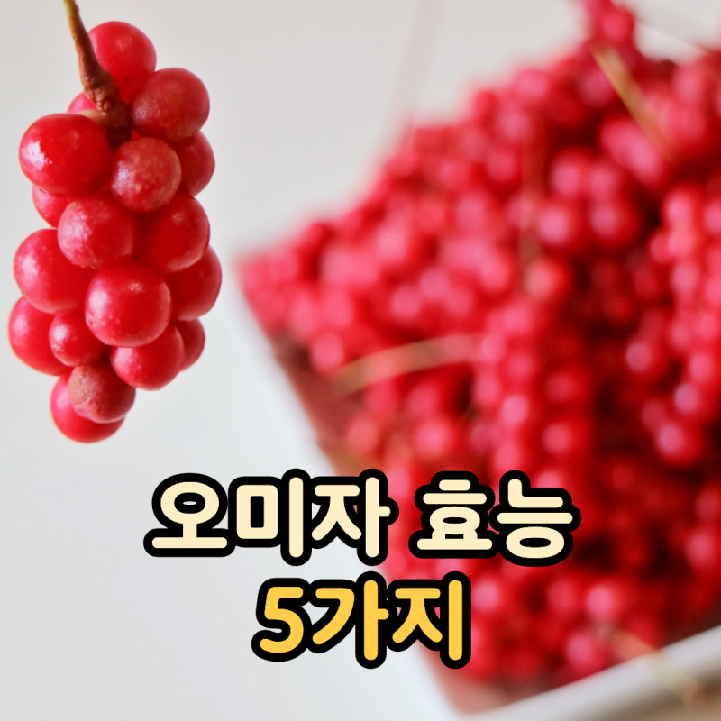 오미자 효능 5가지 이렇게 달라집니다!
