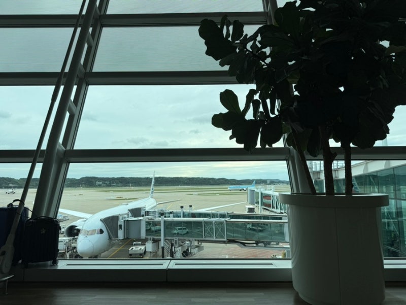 아메리칸 에어 라인 인천-달라스/영주권자 입국심사/지하 1층 공항 병원/미국내 기내 무료 와....