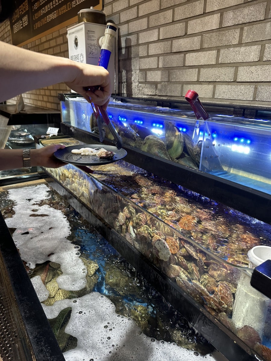 고기품은조개 사진 6