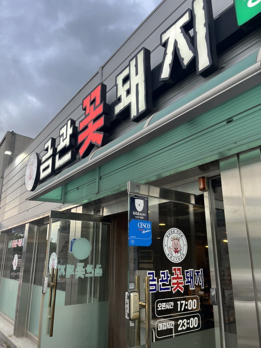 금관꽃돼지 사진 1