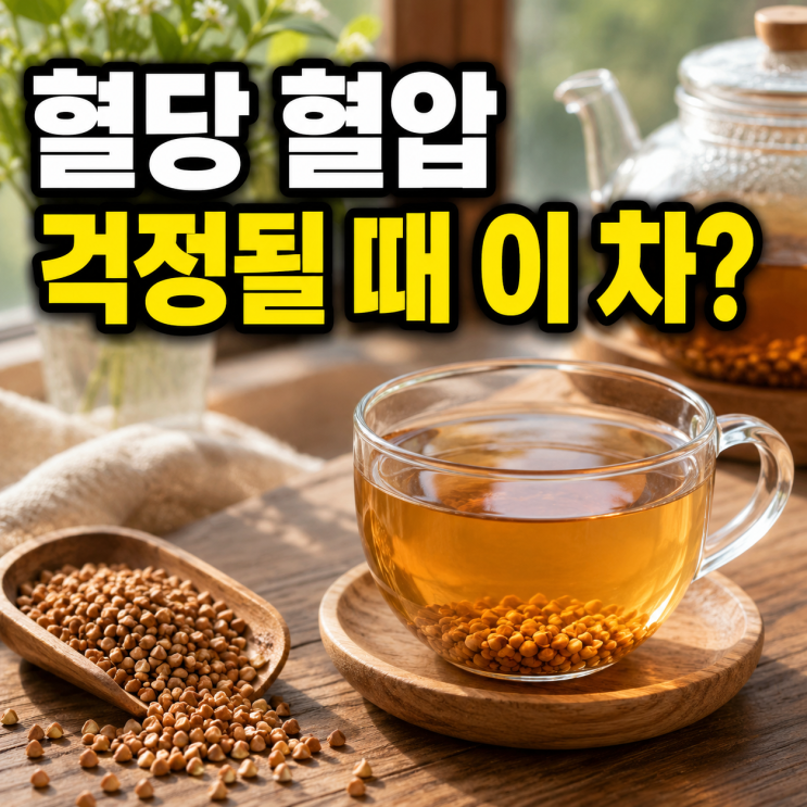  혈당 혈압 걱정될 때 이 차? 메밀차효능 당뇨 고혈압 관리 전 체크