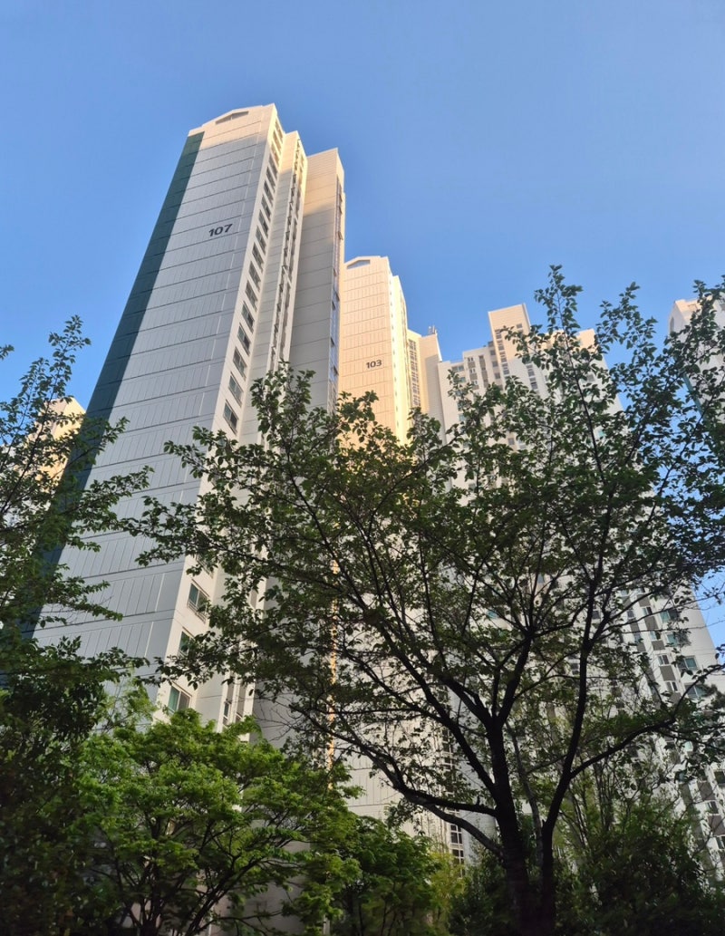 울산 신혼부부 임장후기 #3 삼산아데라움, 신정푸르지오, 신정현대홈타운4단지