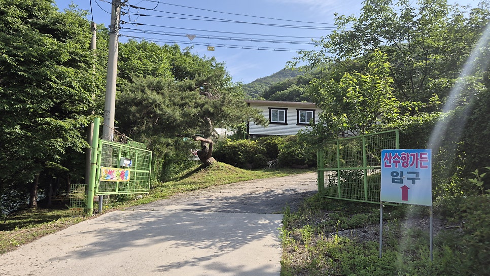 산수향캠핑장 사진 2