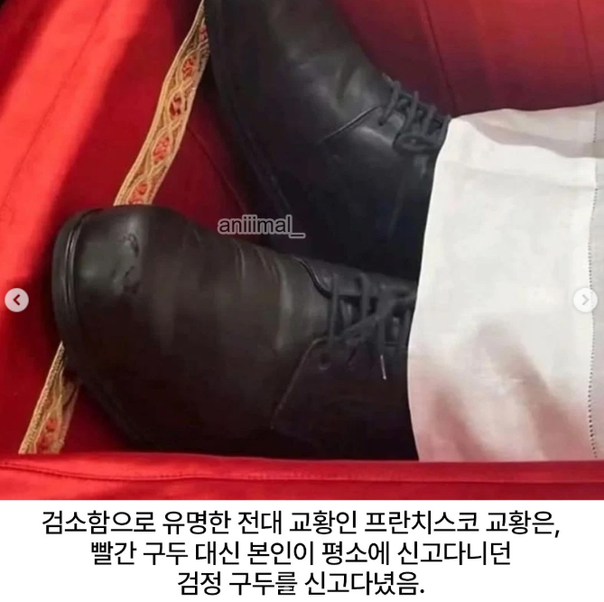  전임 교황들과 다른 신발을 신은 레오 14세