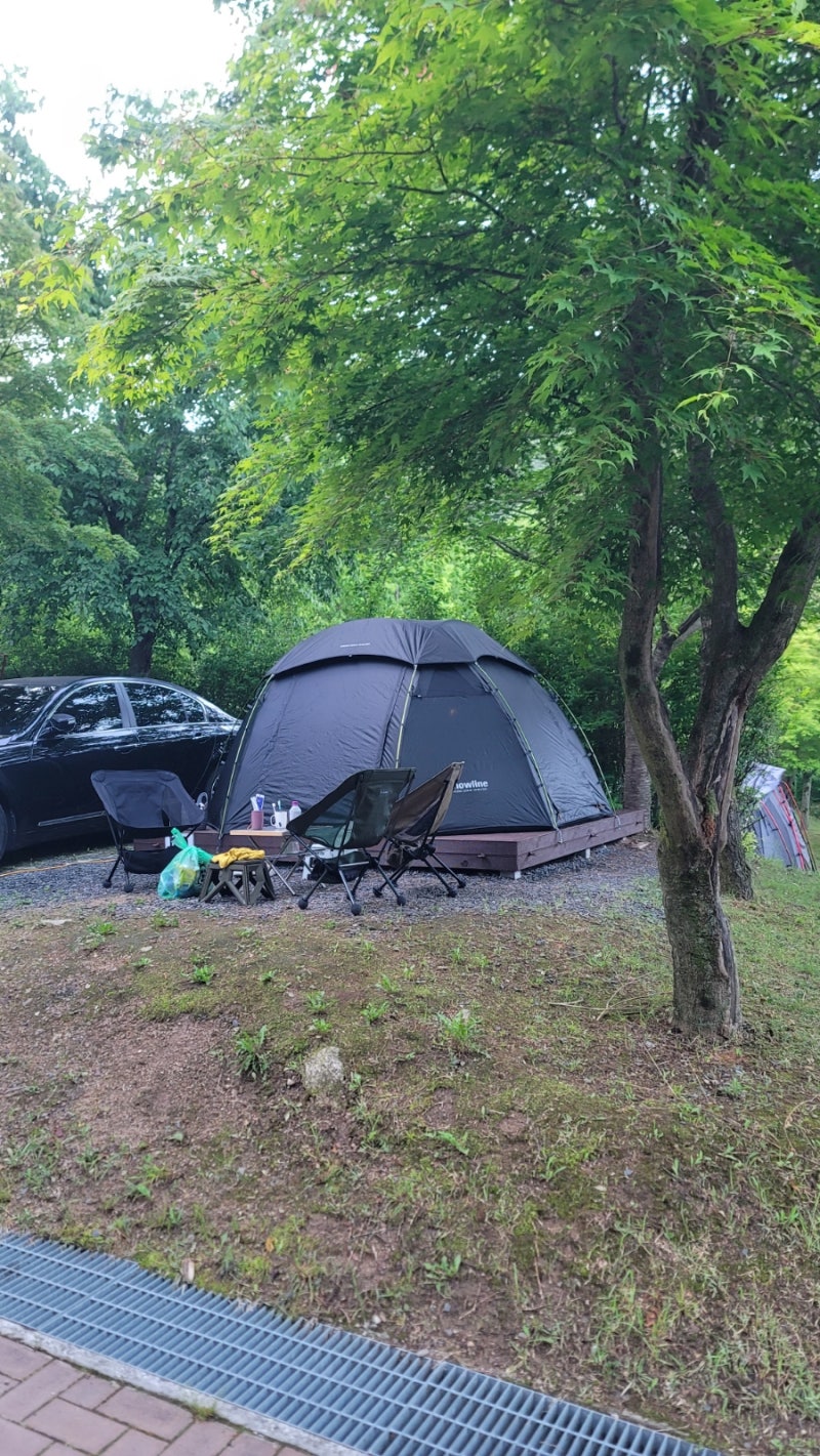 066 팔공산국립공원 도학야영장(26.5.23~24) & 부처님 오신날