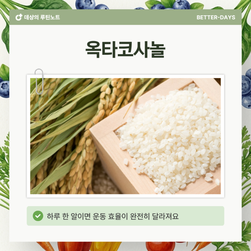 옥타코사놀 효능 5배로 누리는 법, 이 타이밍을 놓치면 절반이에요