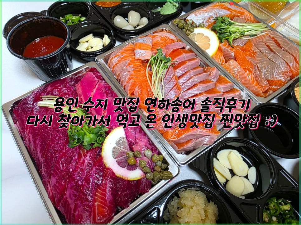 연하송어 사진 1