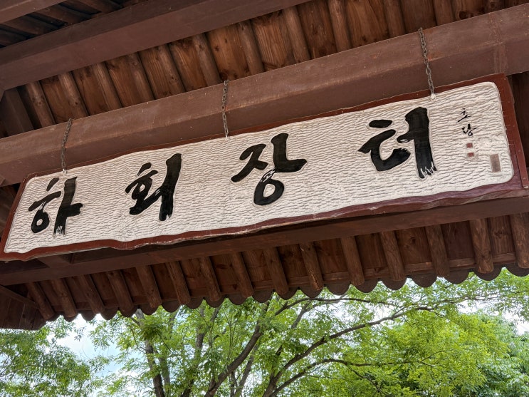  안동 하회마을 & 하회장터 A부터 Z까지 완벽 총정리! 꿀팁 할인 정보부터 찜닭 맛집, 2시 탈공연, 충격적인 기념품 가격 비교까지 