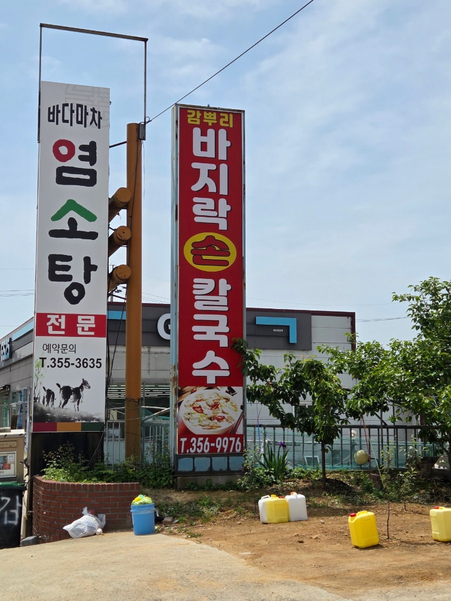 감뿌리 바지락손칼국수 사진 4