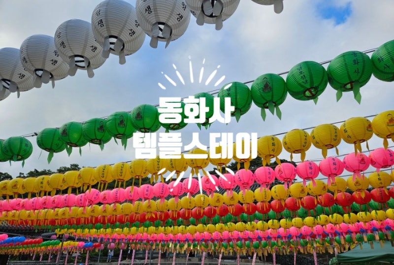 [대구] 동화사 템플스테이 / 아이와 함께한 1박 2일 체험 후기