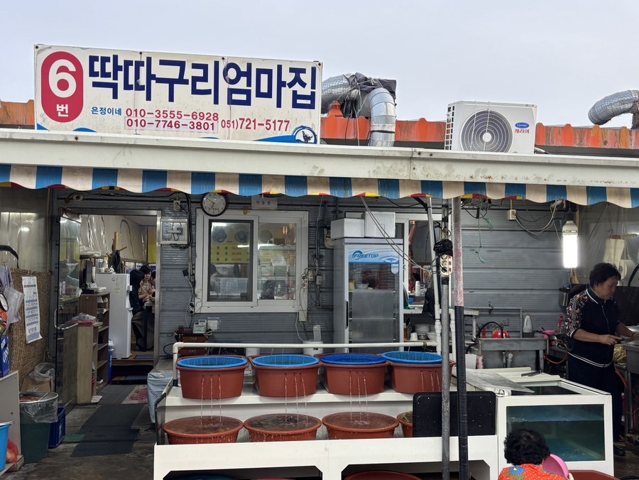 6번딱따구리엄마집 사진 1
