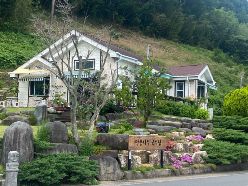 [하동읍맛집]단풍나무국수집