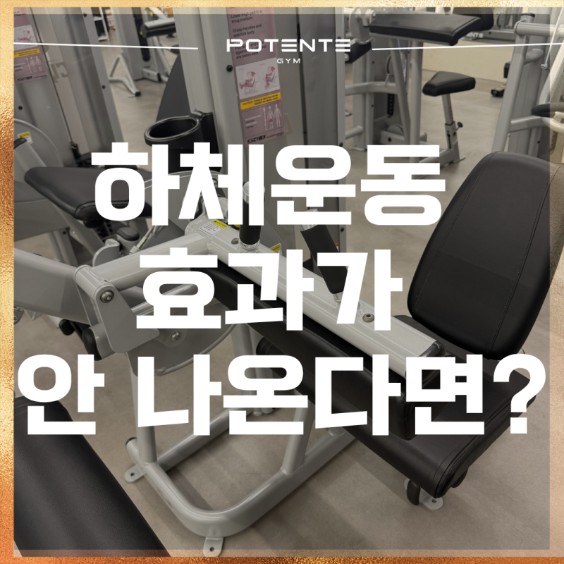 [발산역헬스장/마곡헬스장] 햄스트링 운동의 핵심! CYBEX 시티드 레그컬 머신 소개