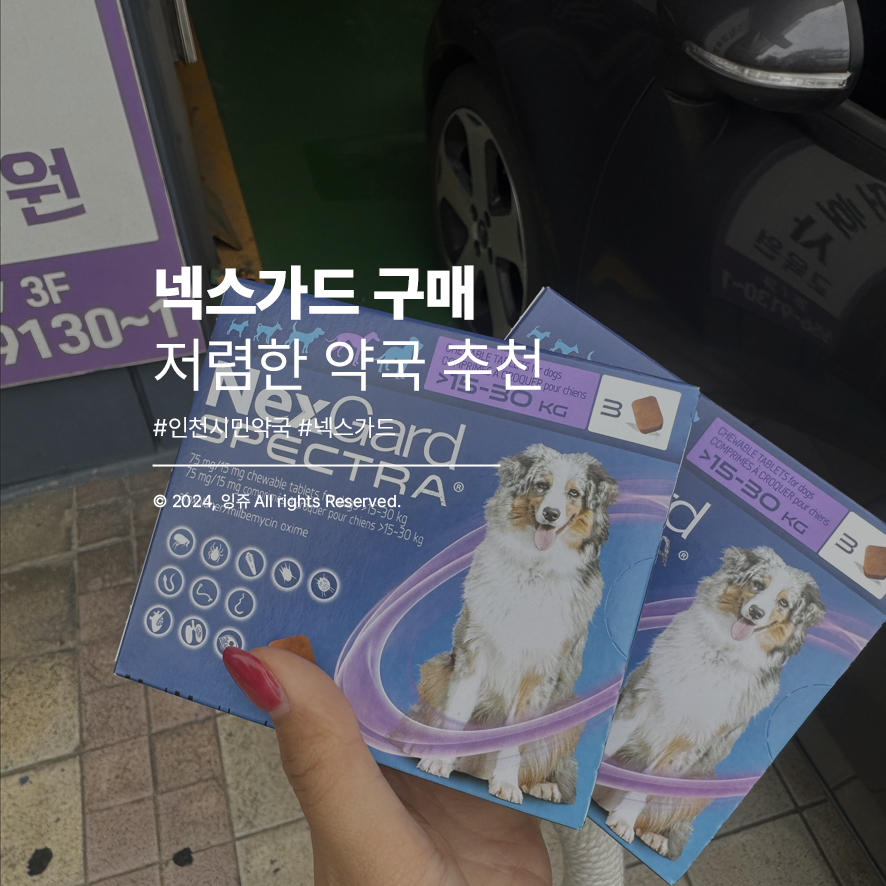 인천시민약국 사진 1