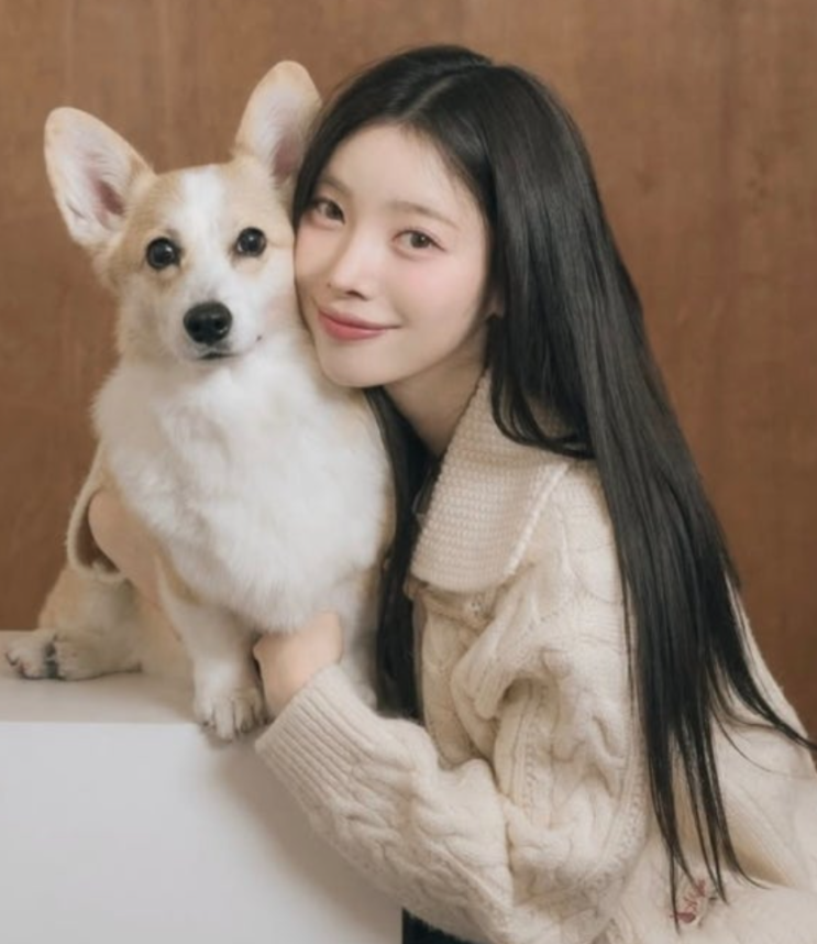   데이식스 도운 유지유 결혼설까지 확산, 팬들 반응이 더 뜨거운 이유
