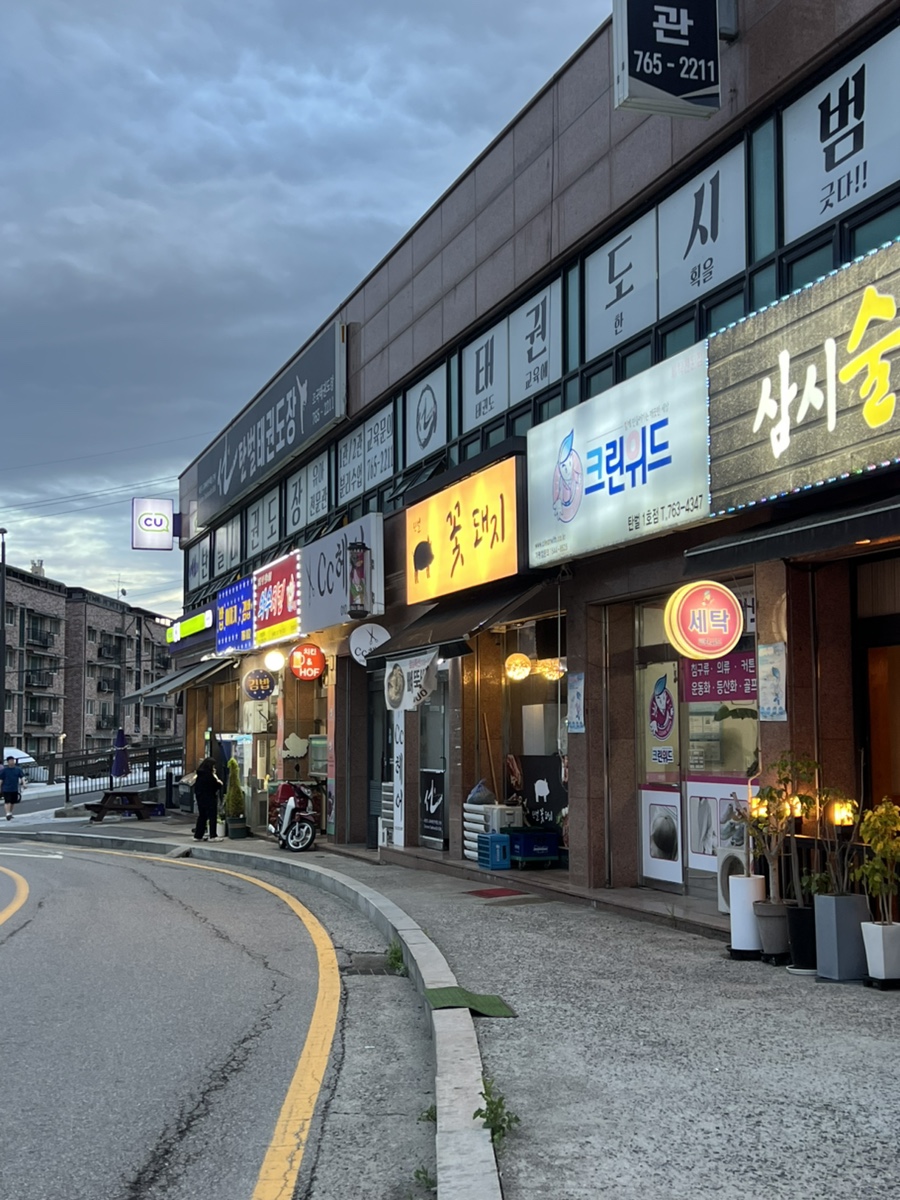 탄벌꽃돼지 사진 2