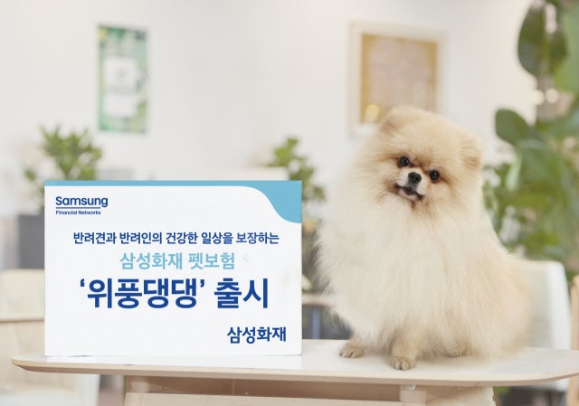 삼성화재 펫보험 괜찮을까? 직접 비교해봤습니다