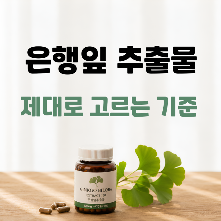  치매 걱정된다면? 은행잎 추출물 효능 이 성분 확인하세요
