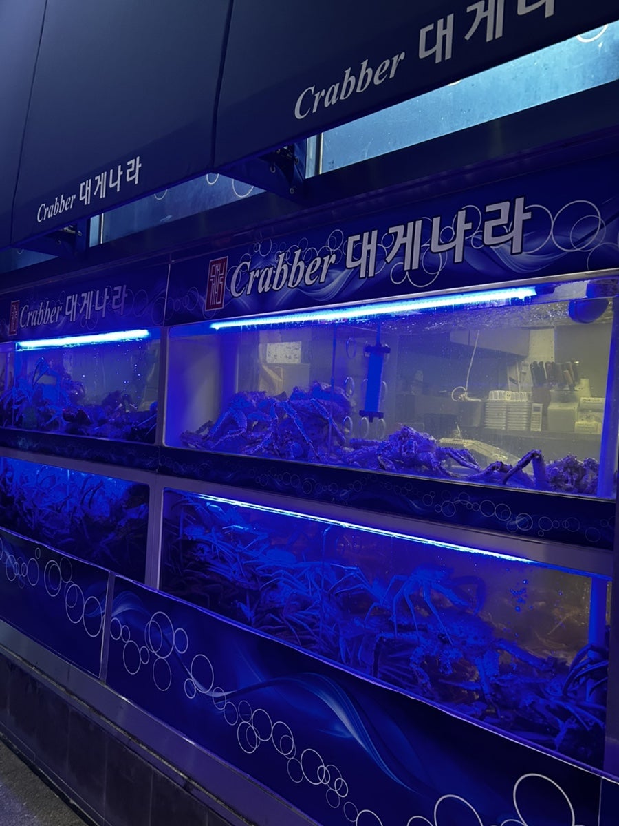 크래버대게나라 판교점 사진 1