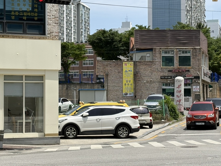 볼오브크림 사진 4