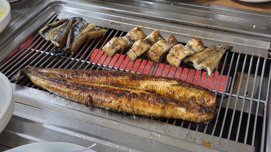 만궁민물장어 사진 3